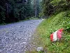 Aufstieg Richtung Hirtenhütte