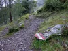 Aufstieg Richtung Hirtenhütte