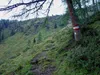 Aufstieg Richtung Hirtenhütte