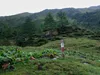 bei Hirtenhütte