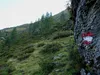 von der Hirtenhütte Aufstieg Richtung Spitzköfele