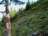 von der Hirtenhütte Aufstieg Richtung Spitzköfele