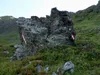 von der Hirtenhütte Aufstieg Richtung Spitzköfele