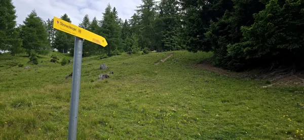 Aufstieg Richtung Stronachkogel bei den Stronacher Wiesen