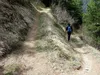 Etappe 5-Über Waldsteig