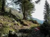 von Seichenbrunn bis zur Gaimberger Halterhütte