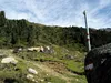 von Seichenbrunn bis zur Gaimberger Halterhütte