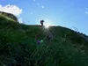Aufstieg über den Wiesenberg