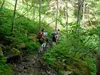 von Kienburg Richtung Dölach Singletrail