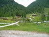bei Patscher Alm