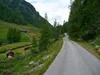 bei Patscher Alm