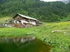 bei Seebachalm