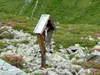 Kreuz nach Jagdhausalm