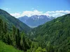 Auffahrt zur Winkler Alm Blick Richtung Lienzer Dolomiten
