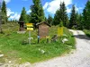 Auffahrt zur Winkler Alm