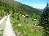 bei Winkler Alm