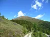 bei Winkler Alm Blick auf Straßkopf