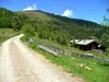 Almen unterhalb Winkler Alm hinten Straßkopf