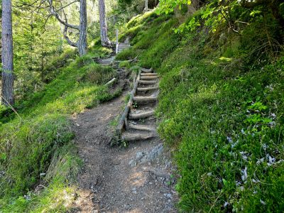 Tourbild