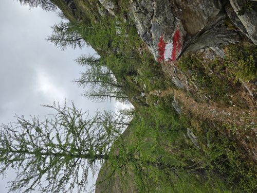 Tourbild