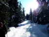 entlang Langlaufloipe bei Oberberg