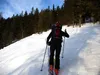 durch Waldstück