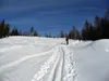 erste freie Fläche nach Waldstück