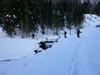 durch das Hollbrucker Tal