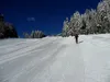 vor Sternalm