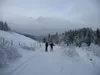 Abfahrt über Forstweg beim Grünsee