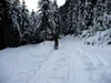 durch das Rollertal bis zur Bödenalpe