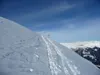 vor Spitzköfele
