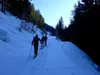 entlang des Forstwegs durch das Kolmitzental