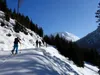 entlang des Forstwegs durch das Kolmitzental hinten der Melenkopf