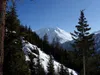 durch bewaldetes Gebiet Richtung Norden hinten der Melenkopf
