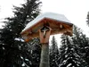 Aufstieg durch den Wald Richtung Winklerner Hütte