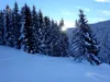 vom Schneggerhof Richtung Hühnerspiel