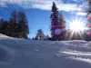 vom Schneggerhof Richtung Hühnerspiel